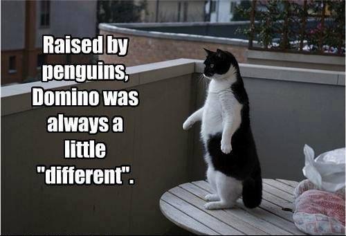 PenguinCat