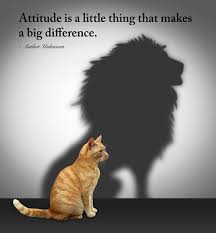 AttitudeCat