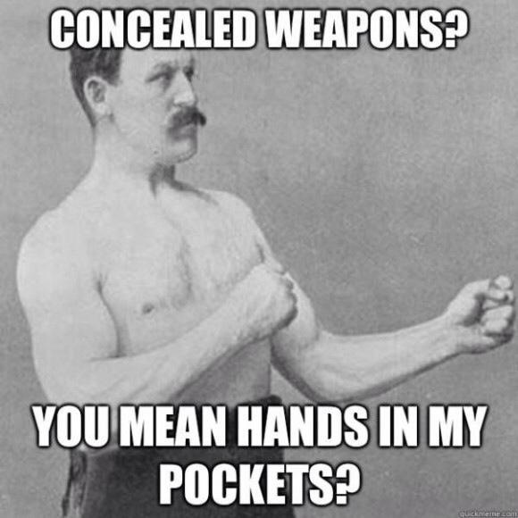 ConcealedWeapons