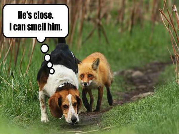 He'sClose