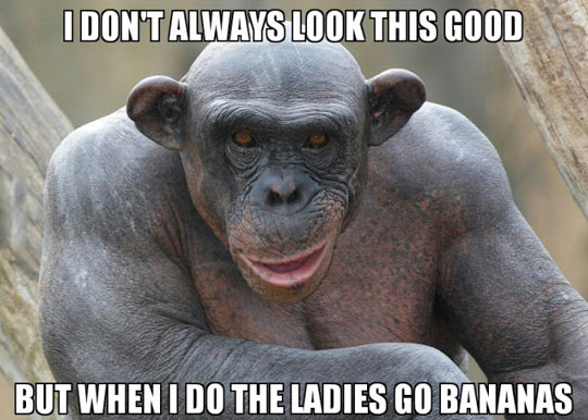 MonkeyHunk