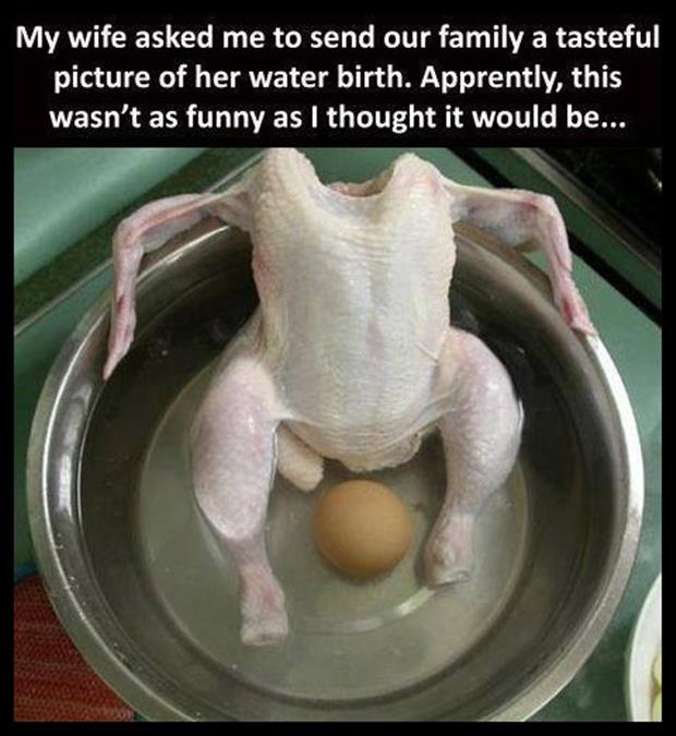 WaterBirthChicken